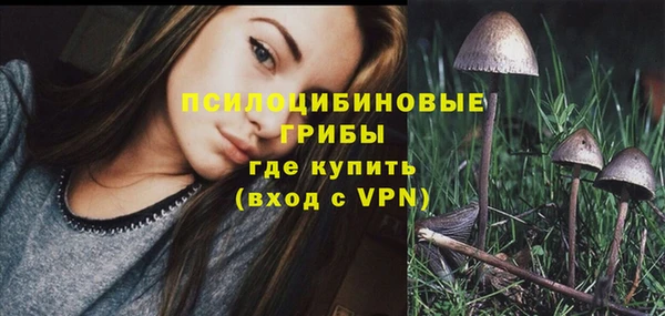 спайс Алзамай
