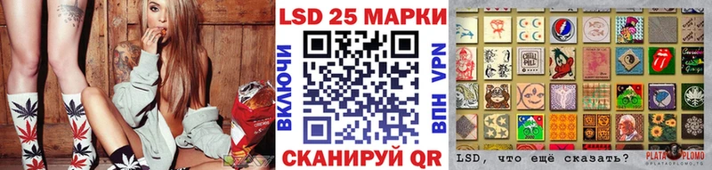 блэк спрут онион хочу Карачаевск Марки NBOMe 1,8мг
