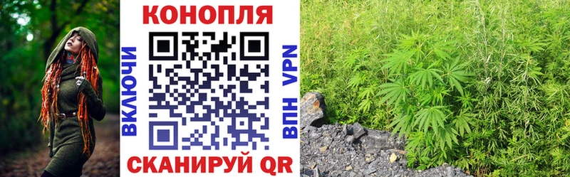 Конопля SATIVA & INDICA  ссылка на мегу tor  Карачаевск 